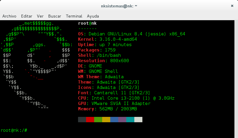 Neofetch On Mx Linux Teraanet